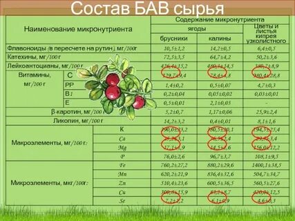 Новом н состав