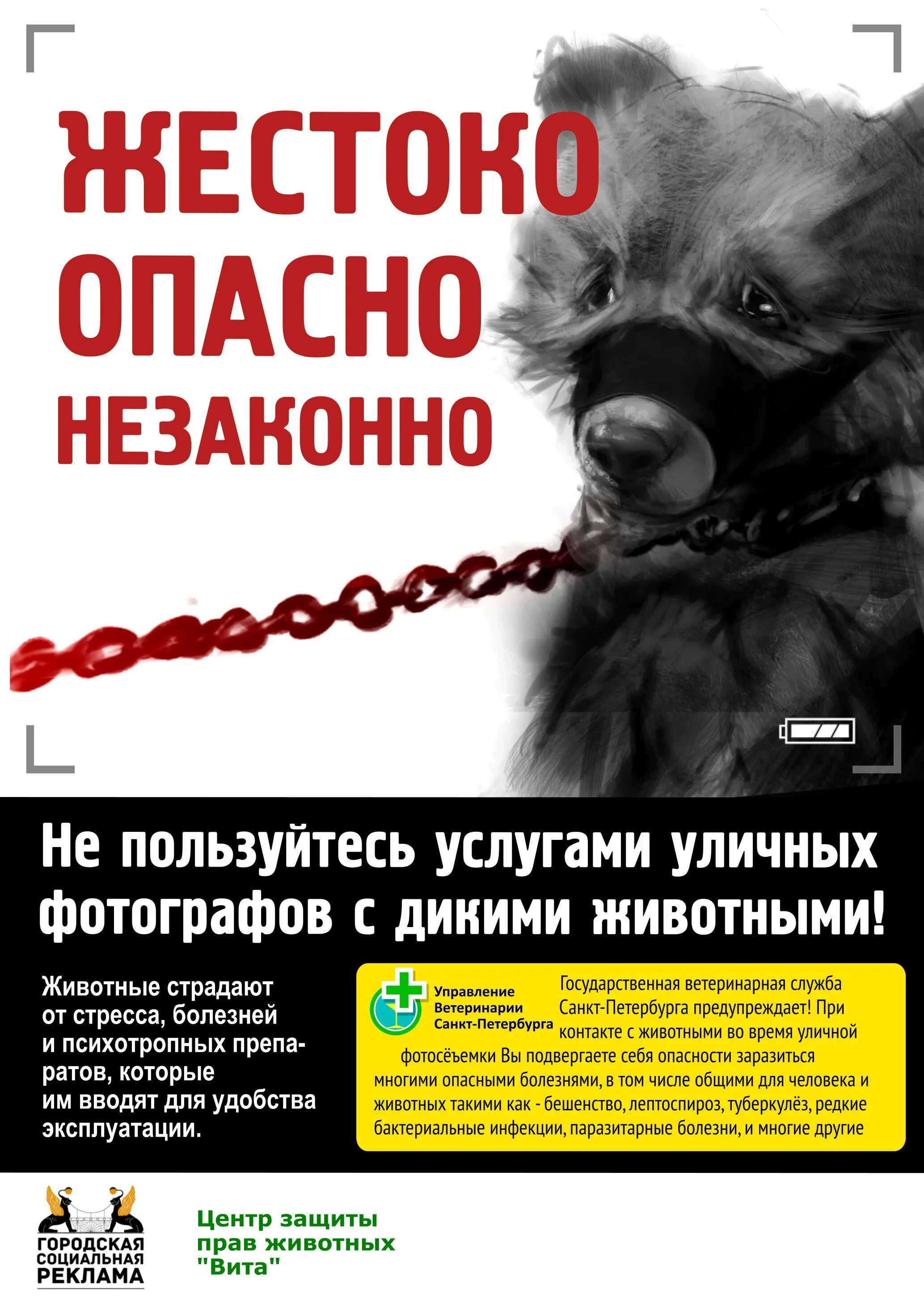 Опасные парни. Стаффордширский терьер прикус. Как выглядит опасный человек. Очень опасно. Рокки бальбоа цитаты.