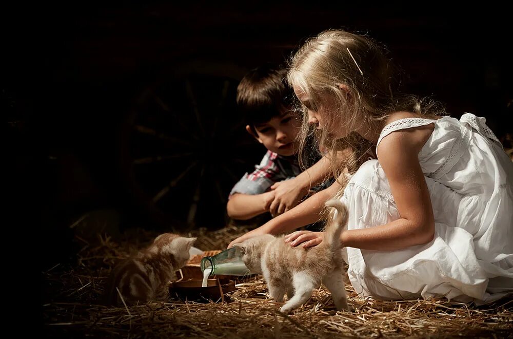 Художественная фотография сюжетная. Художник симонова ольга георгиевна. Мальчик кормит девочку. Картины с детьми. Мальчик кормит птиц.