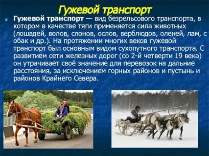 Почему до сих пор используется гужевой транспорт