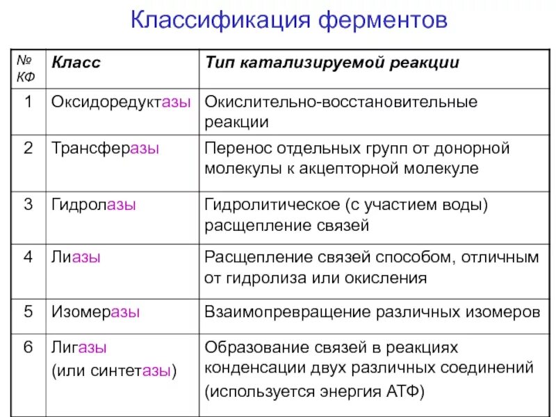 Классификация ферментов схема. Ферменты, строение, биологическая роль, классификация. Классификация ферме ов. Ферменты классификация ферментов биохимия.