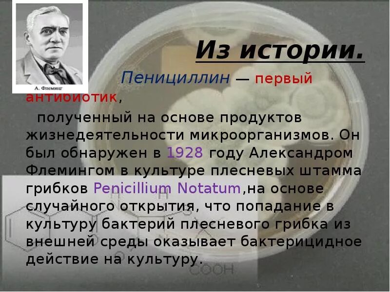 Пенициллин 1 антибиотик