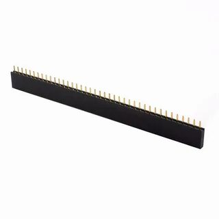 40 pin