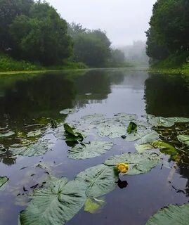 Река вязьма