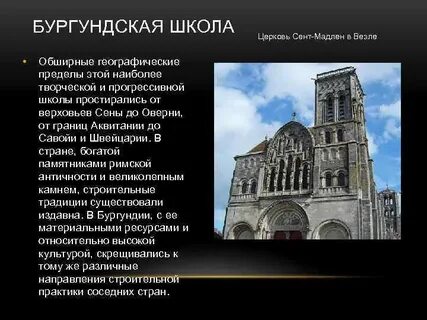 Тно бургундия