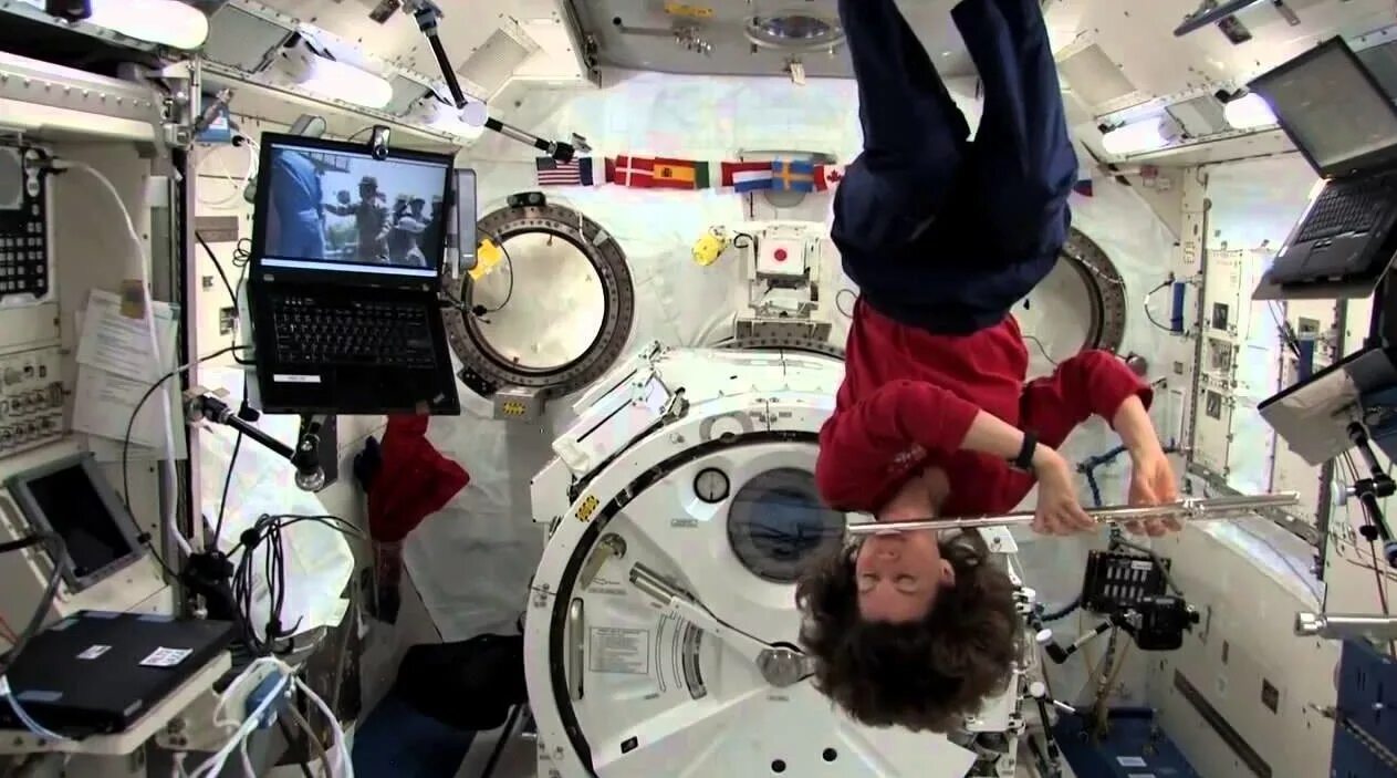 Занимаются ли космонавты. Жизнь Космонавтов на МКС. Космонавты на МКС. Космонавт в невесомости. Развлечения в космосе.