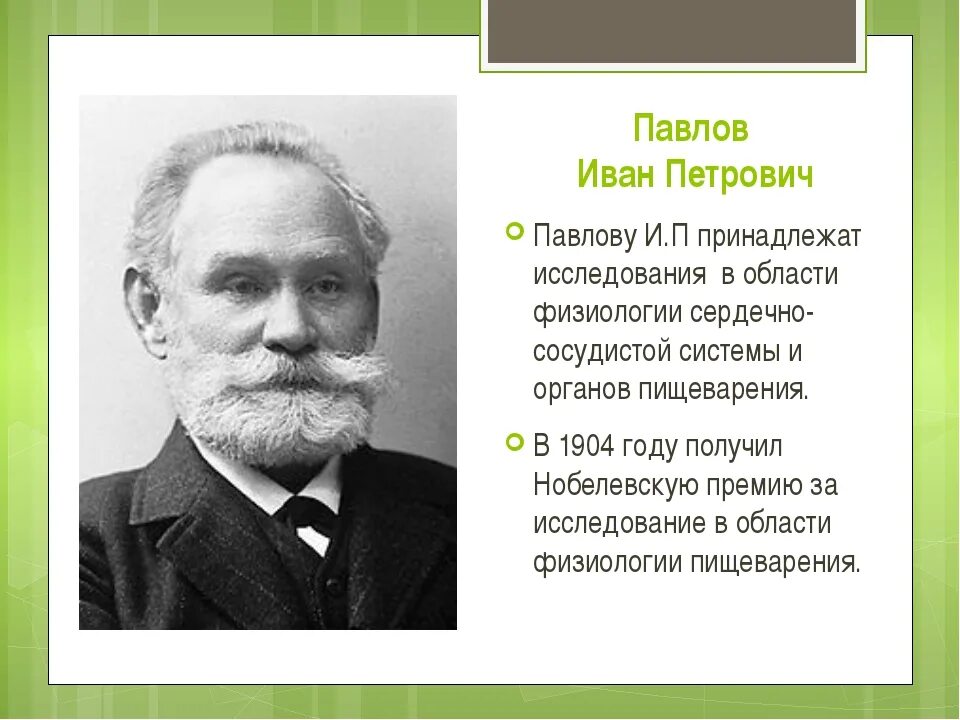 Сообщение о и п павлове. Сообщение о и п павлове