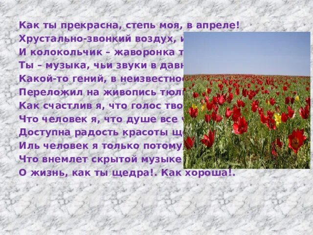 Степь весело. Тайга лесостепь степь красноярского края. Степь весело. Степь весело пестреет цветочками разбор предложения. Степь весело пестреет цветочками разбор предложения.