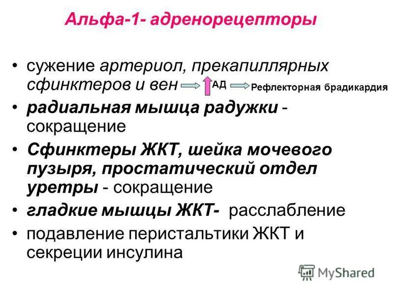 Центральные альфа адреномиметики