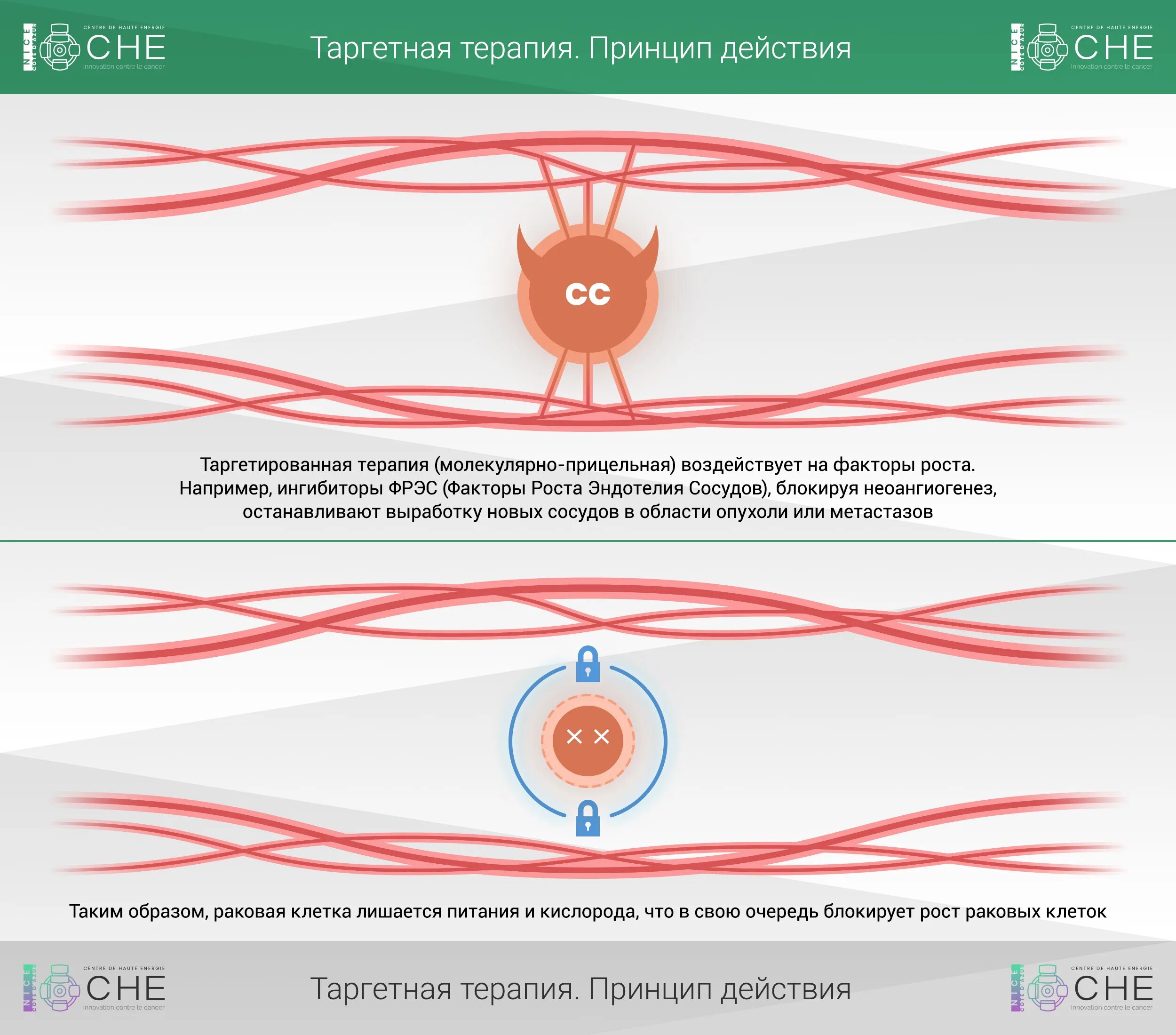 Таргетная терапия побочка. Таргетная терапия побочка