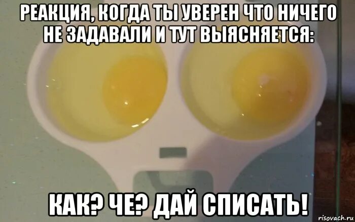 Не задано. Пока ничего не задано.. Ничего не задали. Тебе пока ничего не задали. Ничего не задано картинка.