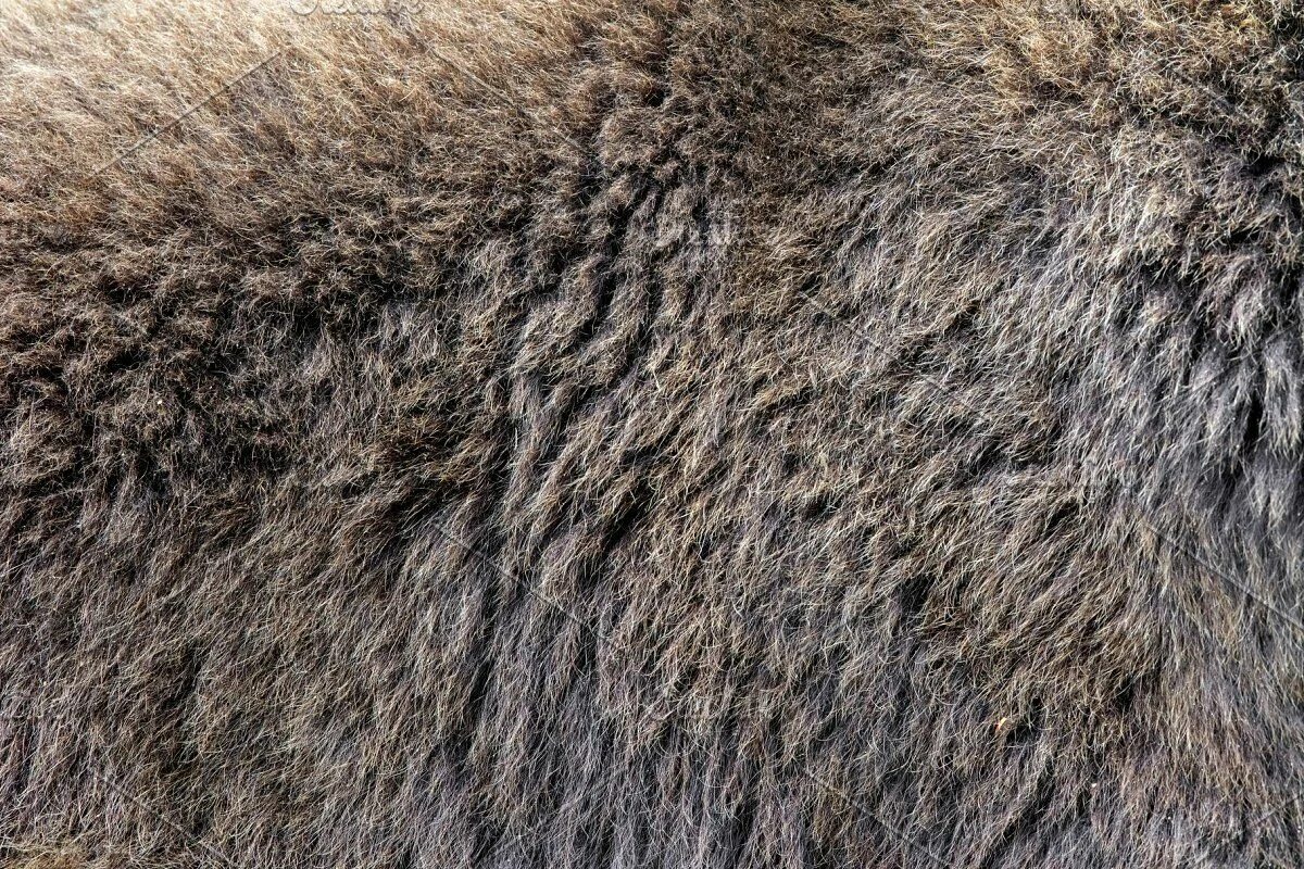 Мех текстура. Медвежий мех. Игрушка лежачий мишка. Медвежий мех. Нежный мех для медведя.
