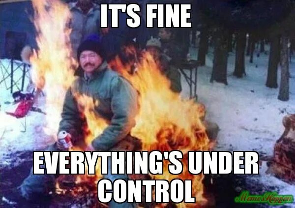 Life is fine. Its Fine Мем. Everything its Fine Мем. Everything under Control. Everything is under Control Мем.