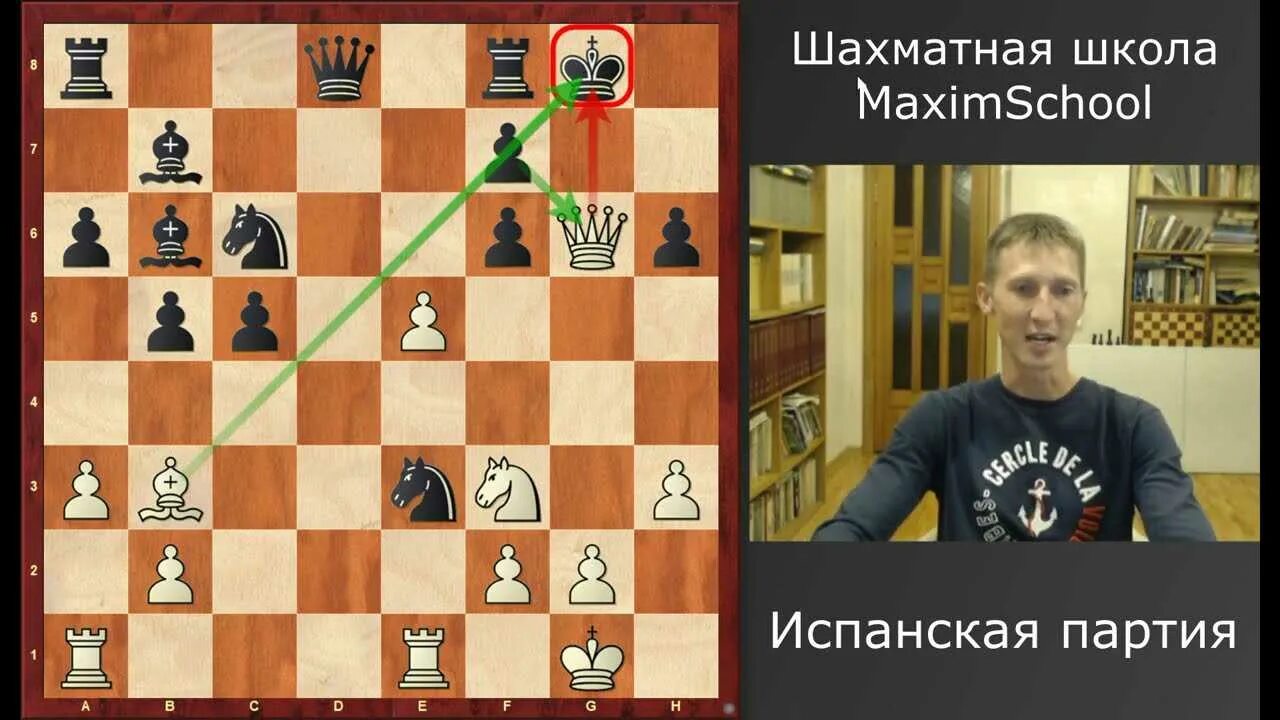 Гамбит в шахматах это. Сицилианский гамбит. гамбит кохрена в шахматах. русский гамбит шахматы. испанская партия в шахматах.