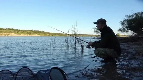 Рыбалка на печоре