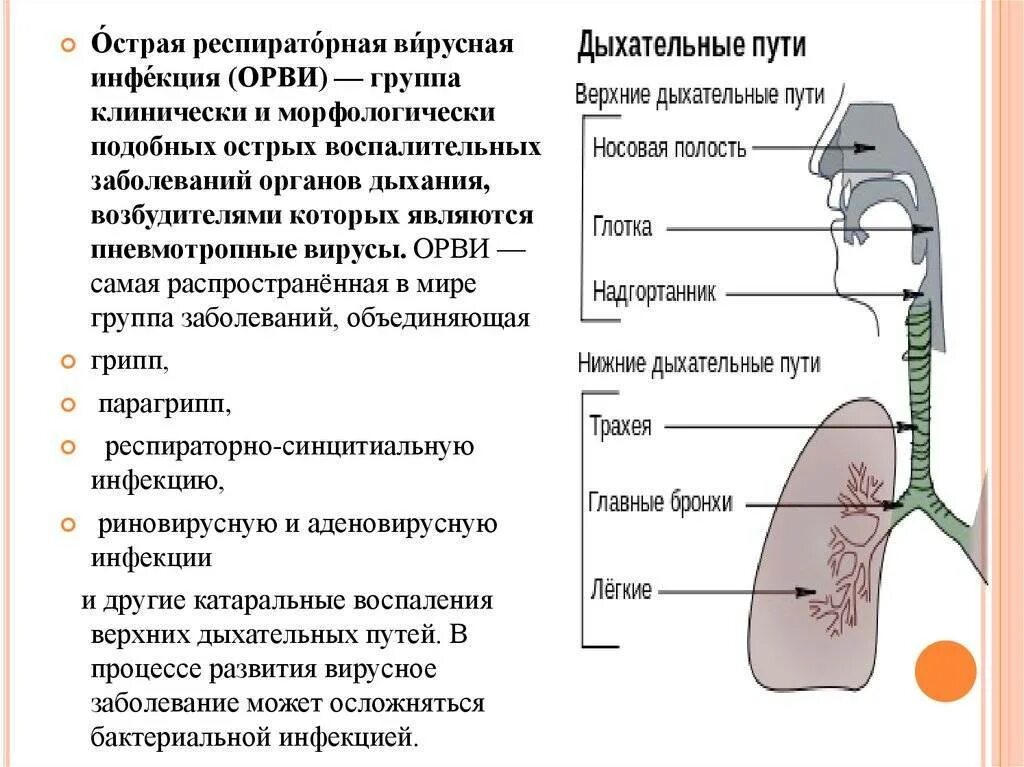 Русский пор на син трахеит мате. Вирусные болезни дыхательной системы. Острая инфекция дыхательных путей неуточненная. Острая инфекция верхних дыхательных путей неуточненная симптомы. Заболевания верхних дыхательных путей и их профилактика.