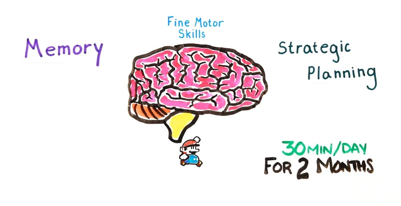 Memory skills. Motor skills. bad influence to water.