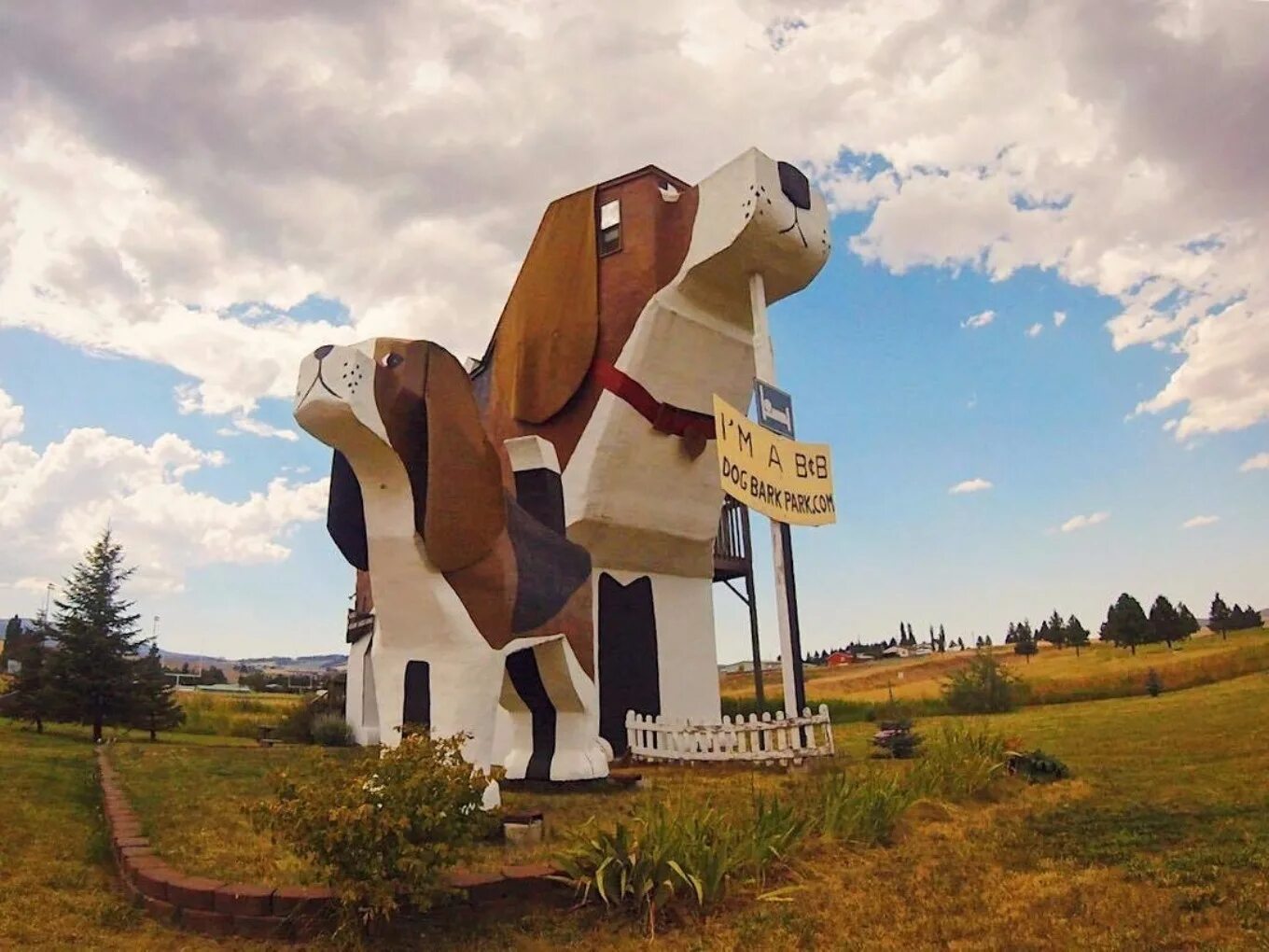 Dog bark park. Dog bark park. Отель dog bark park inn фото. Гостиница dog bark park inn. Dog bark park inn отель изнутри.