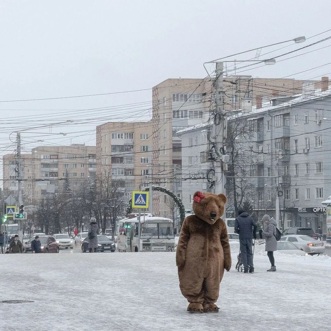 В России медведи ходят по улицам. Воронов шел по улице