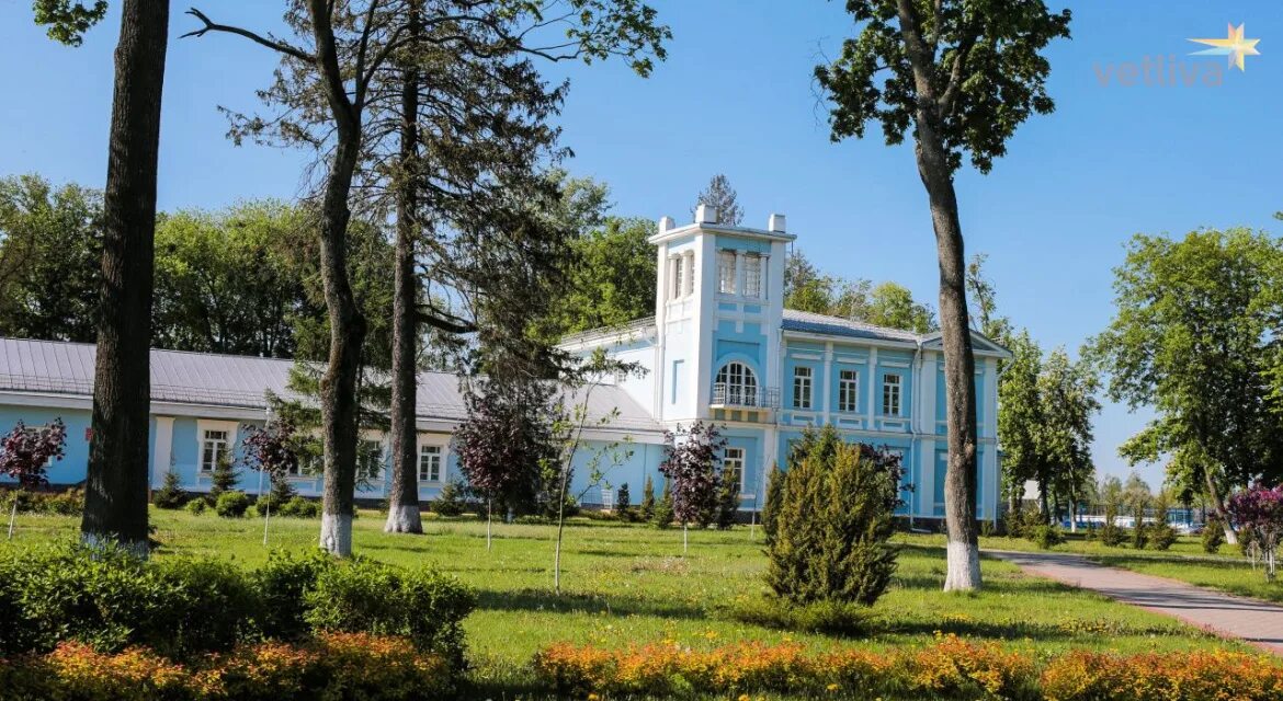 Город хойники. Город хойники белоруссия. Хойники старые фото. Гомельская областная г. Белоруссия хойники.