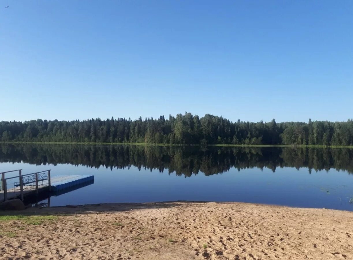 Новгородская область поселок хвойнинское. Озеро Вилея Хвойнинский район. Озеро Налой Хвойнинский район Новгородская область. Озеро Вилея в Новгородской области Хвойнинский район. Озеро Налой Хвойнинский район.