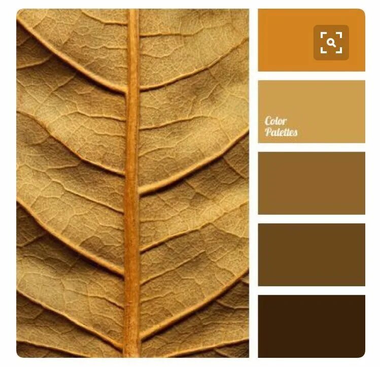 Палитра лист. Цветовая палитра. Золотисто-коричневый цвет палитра. Цветовые сочетания с коричневым. Сочетание цветов с коричневым.