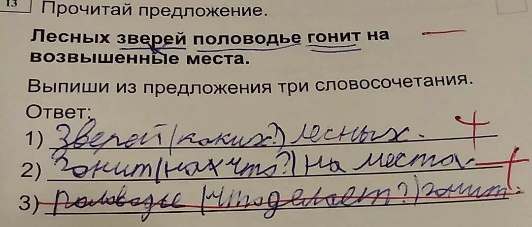 Из предложений 3 12 выпишите слово. Лесных зверей половодье гонит на Возвышенные места. Предложение на слово безымянный. Придумать предложение с безымянными. Составить предложение со словом безымянный.