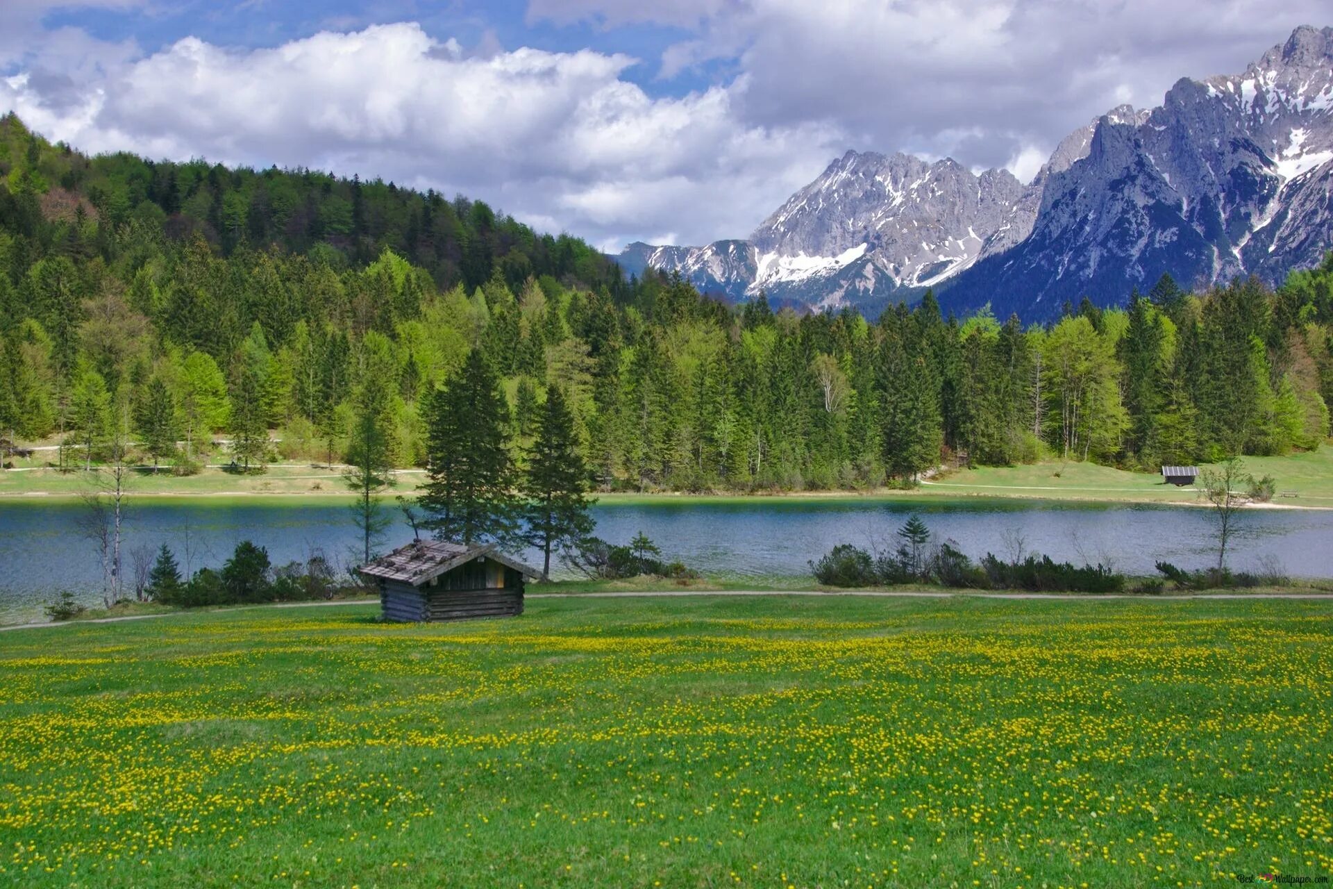 Южный Шварцвальд озеро. Горы лес озеро река Поляна. Предгорье Альпы лето озеро. Альпийские Луга Австрии. Местоположение и природа