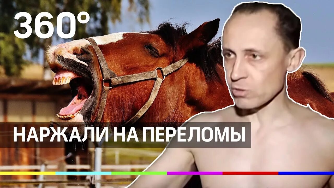 юрий кондратьев нижний новгород. смеюсь. ржание лошади. ржание лошадей сосед. ржание лошадей сосед.