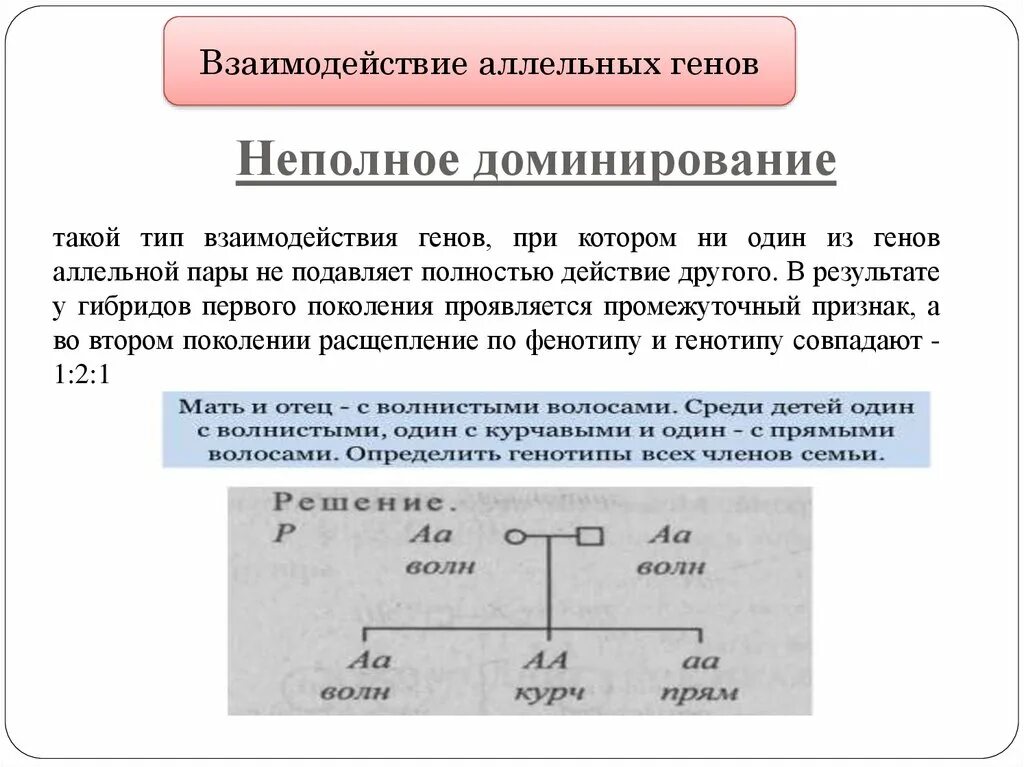 Взаимодействие аллельных генов. Типы аллельных взаимодействий. Взаимодействие аллельных и неаллельных. Взаимодействие аллельных и неаллельных генов.