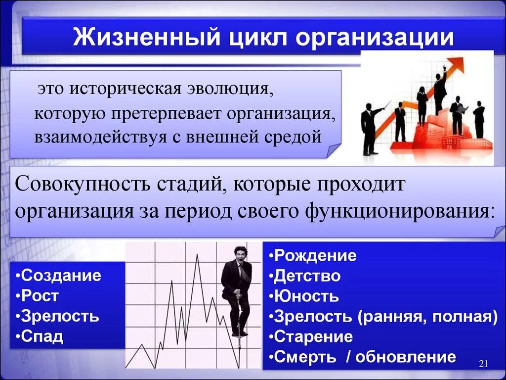 Развитие организации доклад. Жизненный цикл организации. Организационный жизненный цикл. Жизненный цикл организации менеджмент. Стадии жизненного цикла организации.