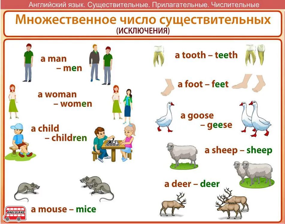 Село множественное число. Правило по англ яз множественное число. Правило мн числа в английском языке. Множественное число в английском правило. Множественное число имен существительных правило английский.