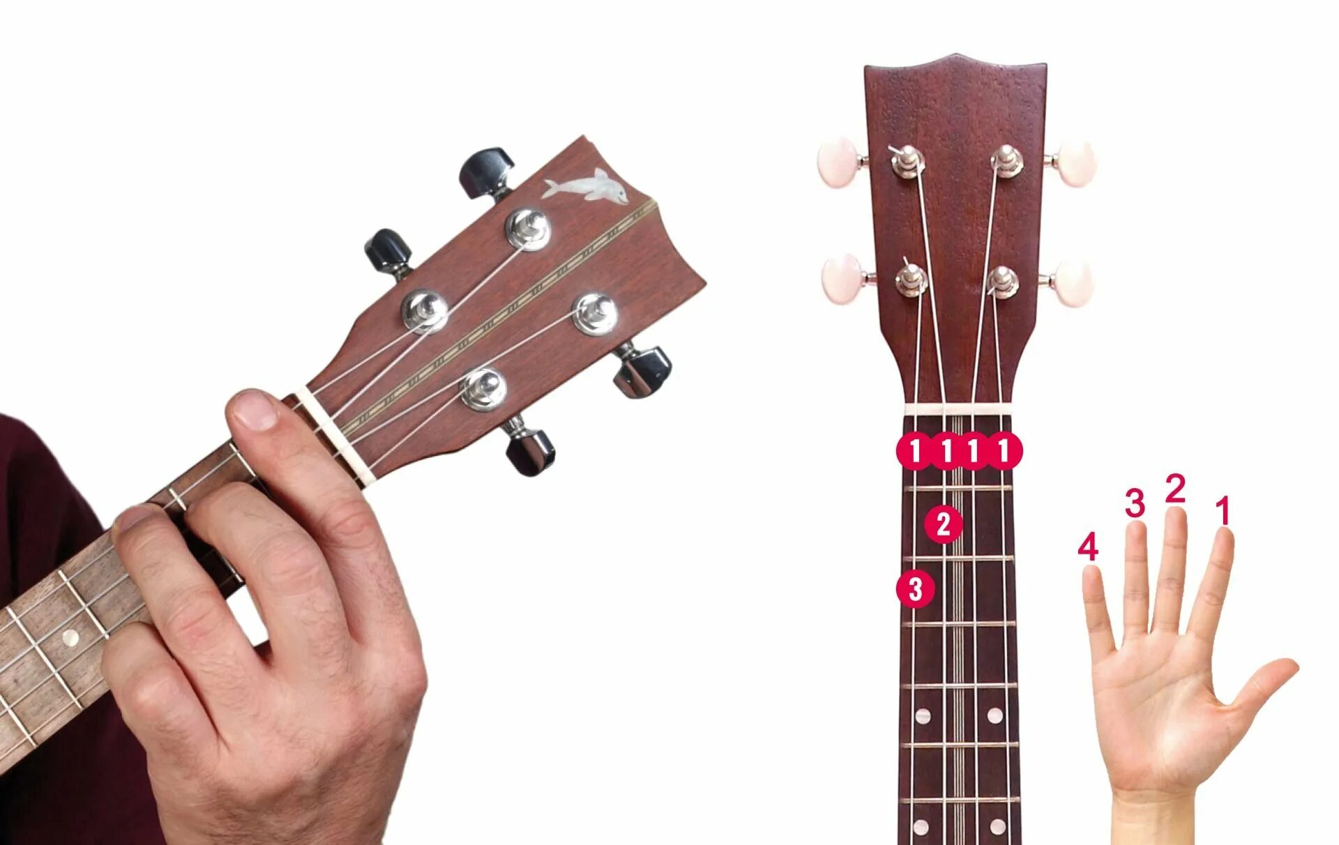 E ukulele. Ssshhhiiittt айсберг. Самоучитель по укулеле. Щит танцы на укулеле. Ukulele chords.