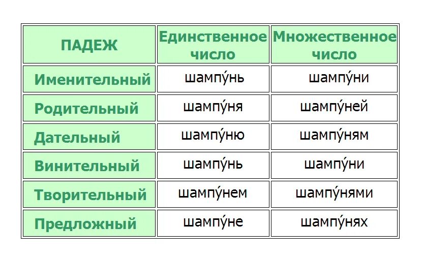 Молодец в творительном падеже единственного. Просклонять шампунь. Шампунь склонение. Склонение слова шампунь. Склонение шампунь по падежам и числам.