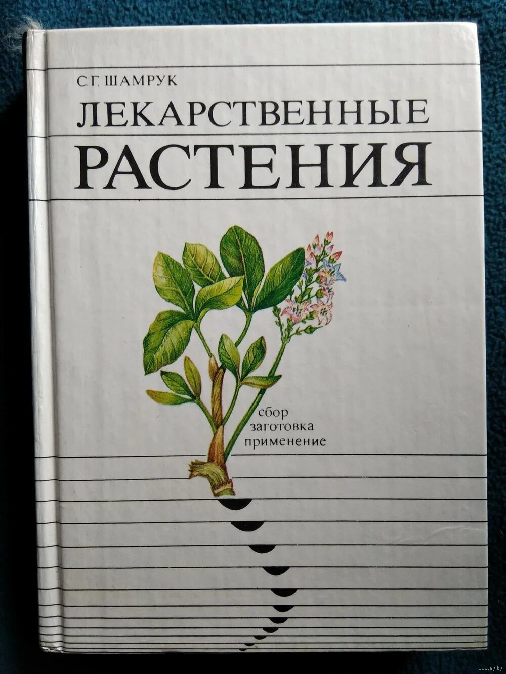 Книги про травы. Лекарственные растения. Лечебные травы книга. Книги о растениях. Книга о травах.