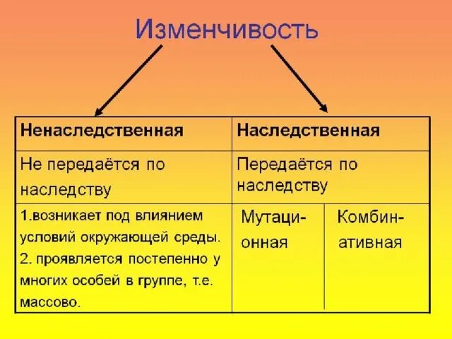 Приведи не меньше трех примеров случайной изменчивости Примеры наследственной модификационной изменчивости