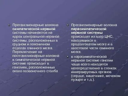 Преганглионарные симпатические нейроны