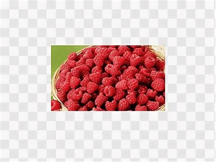 Raspberry cranberry