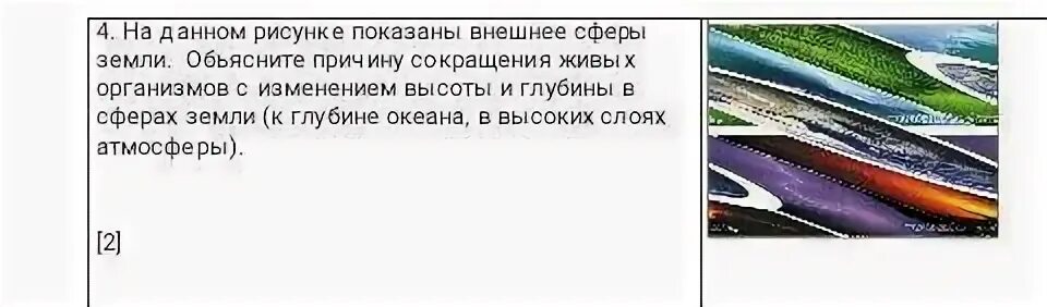 Внешний показанной