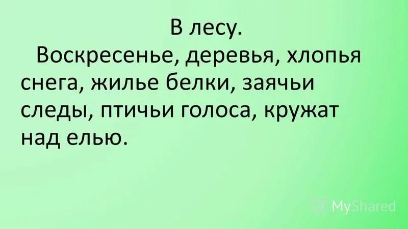 в воскресенье мы пришли в лес