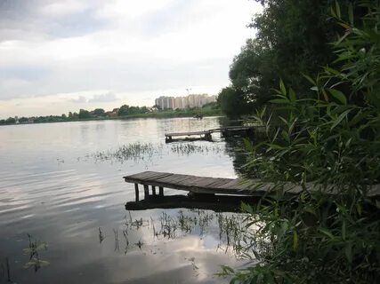 Московская обл медвежьи озера