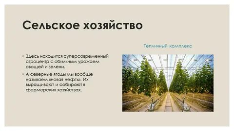 Проект экономика родного края московская область