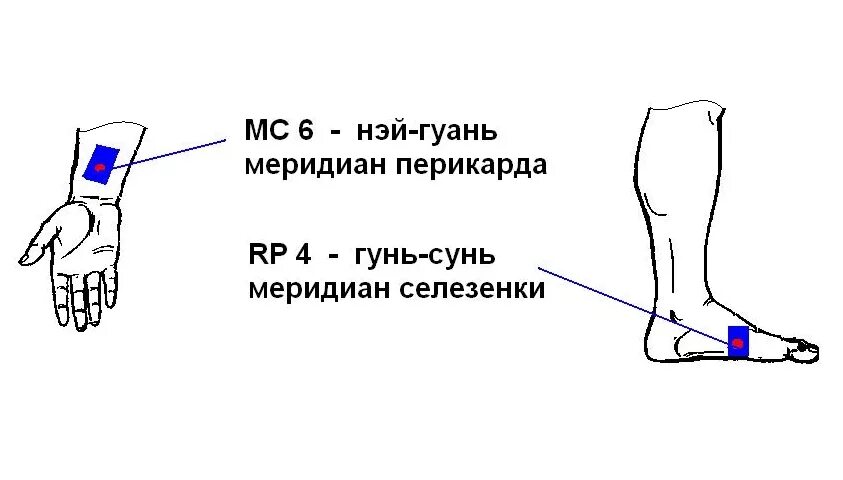 Точка mc 6. Rp4 точка акупунктуры. Точка mc6 Нэй-Гуань Меридиан перикарда. Точка гунь-Сунь. Точка Rp-4 гунь-Сунь..