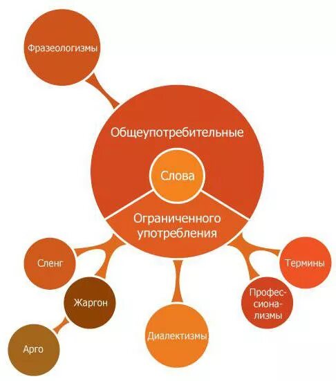 Слова Общеупотребительные и ограниченного употребления. Лексика общеупотребительная и ограниченной сферы употребления. Слова ограниченного употребления термины.  Общеупотребительными /ограниченного употребления. Лексика примеры употребления