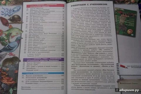 Биология 7 класс содержание параграфов