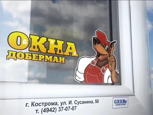 Доберман окна кострома. Доберман окна кострома. Доберман в окне. Доберман лает. Директор доберман кострома.