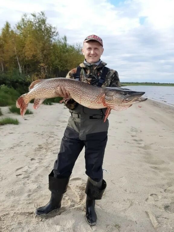 новый уренгой рыбалка. зимняя рыбалка в новом уренгое. озеро негито на карте новый уренгой. магазин охота на рыбалку новый уренгой. щука новый уренгой.