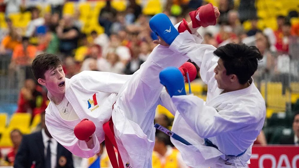 Wkf спорт дата. Karate WKF. WKF дети чемпионы. Судейская форма каратэ WKF. World Karate Championship.