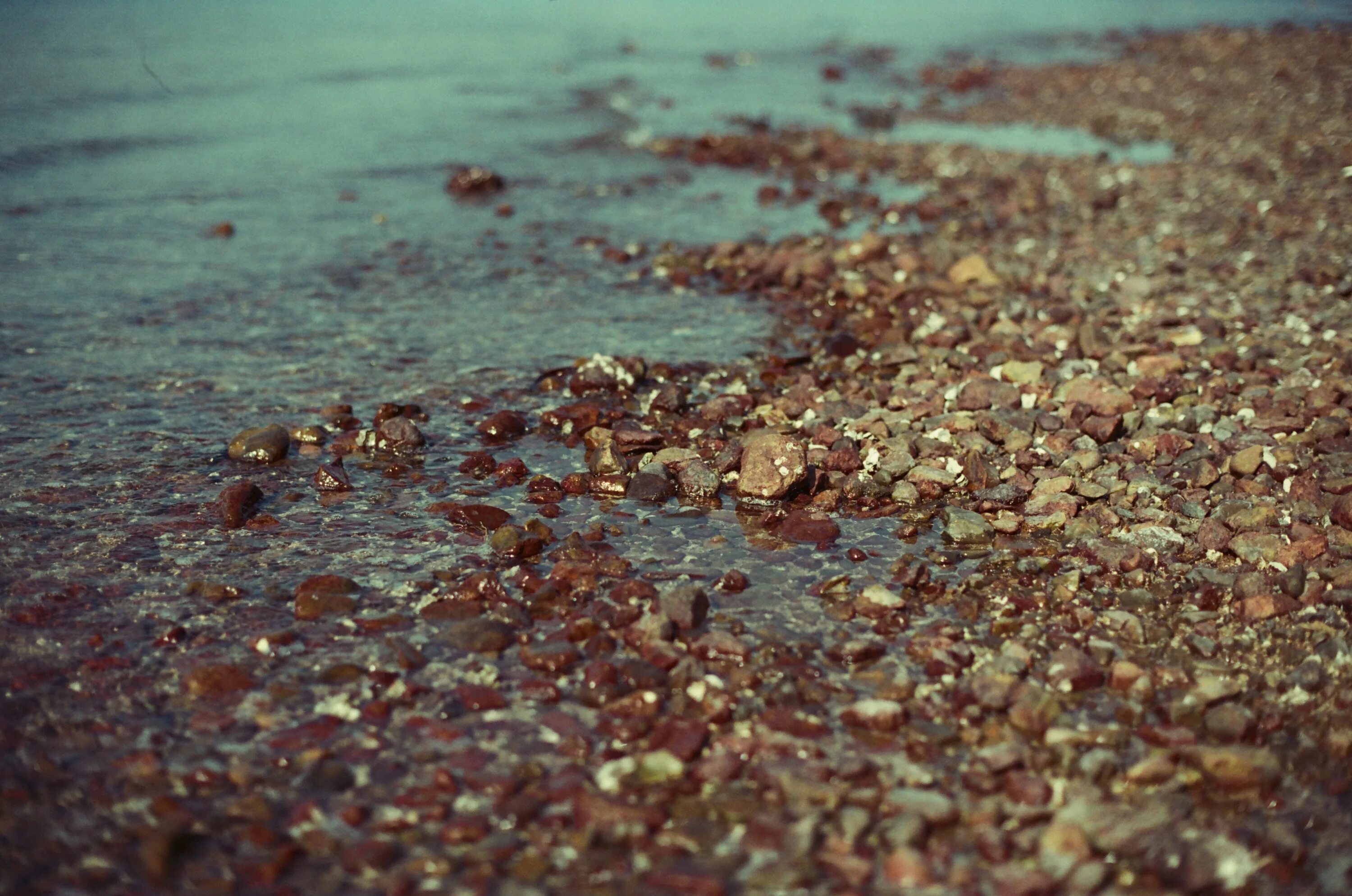 Приснилась мутная вода. Грязное море коричневое. Песок Макросъемка широкоформатные. Макросъемка пляж. Почва макро.