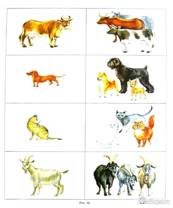 Карточки с дикими животными. Чей хвост чья голова домашние животные. Назови одним домашние животные. Тема занятия домашние животные. Теремкова домашние животные и их детеныши.